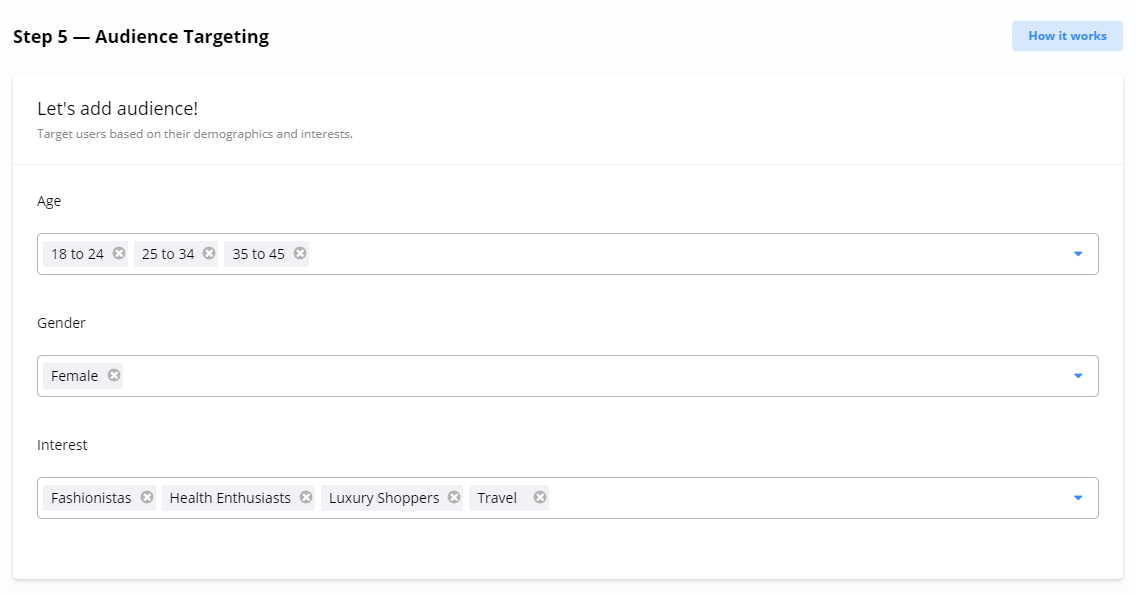 The 'Audience Targeting' step in a campaign setup form, showing selected age, gender, and interest criteria.